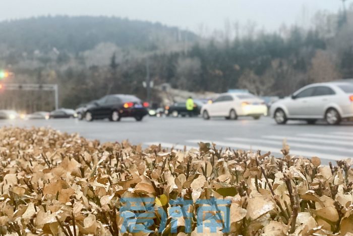 重要天气:今夜到明天济南全市将有小到中雪,山区有中到大雪!