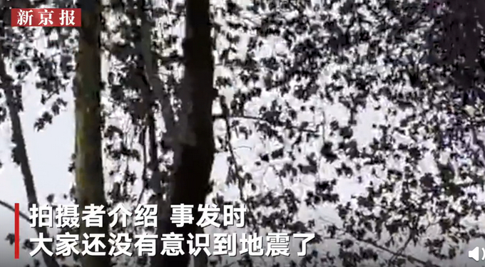 5秒上树！四川绵阳4.6级地震时大熊猫反应迅敏，网友：求生欲太强