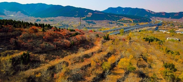 【飞阅泉城】沉醉于格桑花海 港沟蟠龙秋景美不胜收