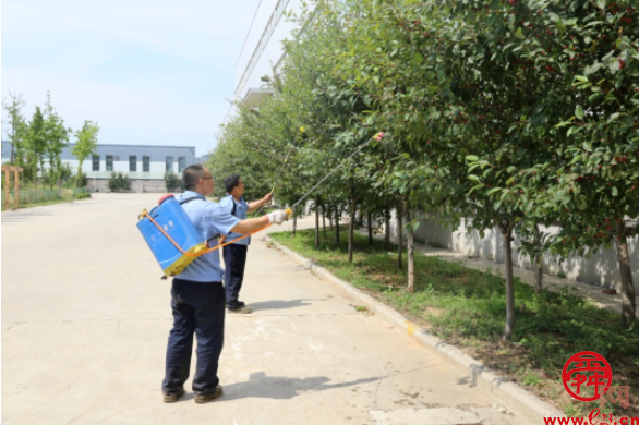 山东省地矿局一院组织开展世界环境日系列活动