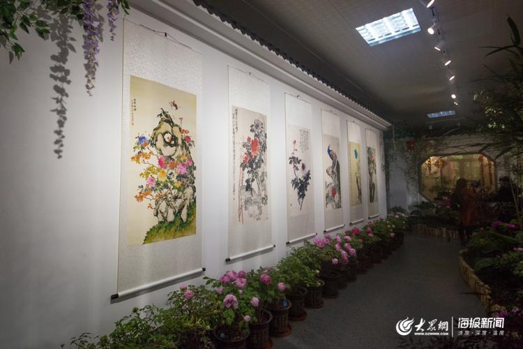 声色山东丨今年冬天来济南看“花王” 20多种牡丹首次集中亮相