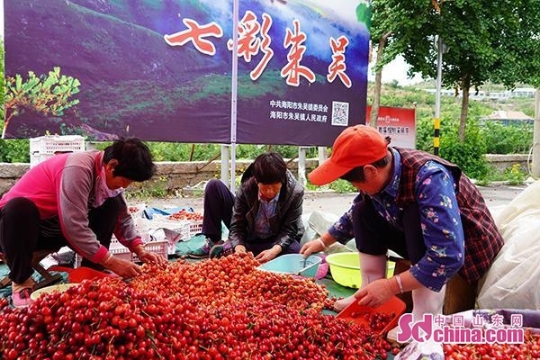 这就是山东
