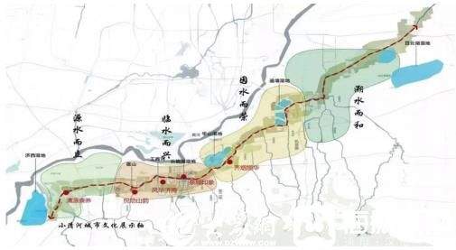 上千只白骨顶鸡来济南华山湖过冬 为啥到山东“安家”的野生保护动物越来越多？