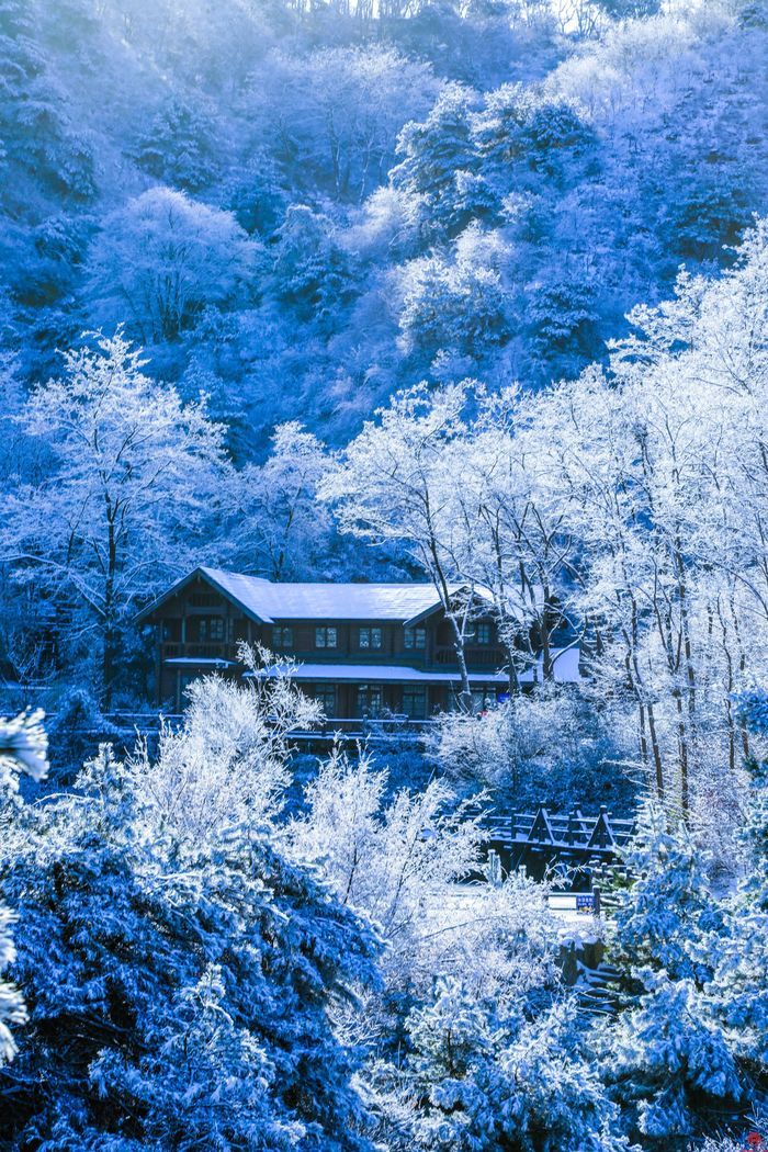 雪落冬藏！九如山迎来鹅毛大雪，银装素裹美如画