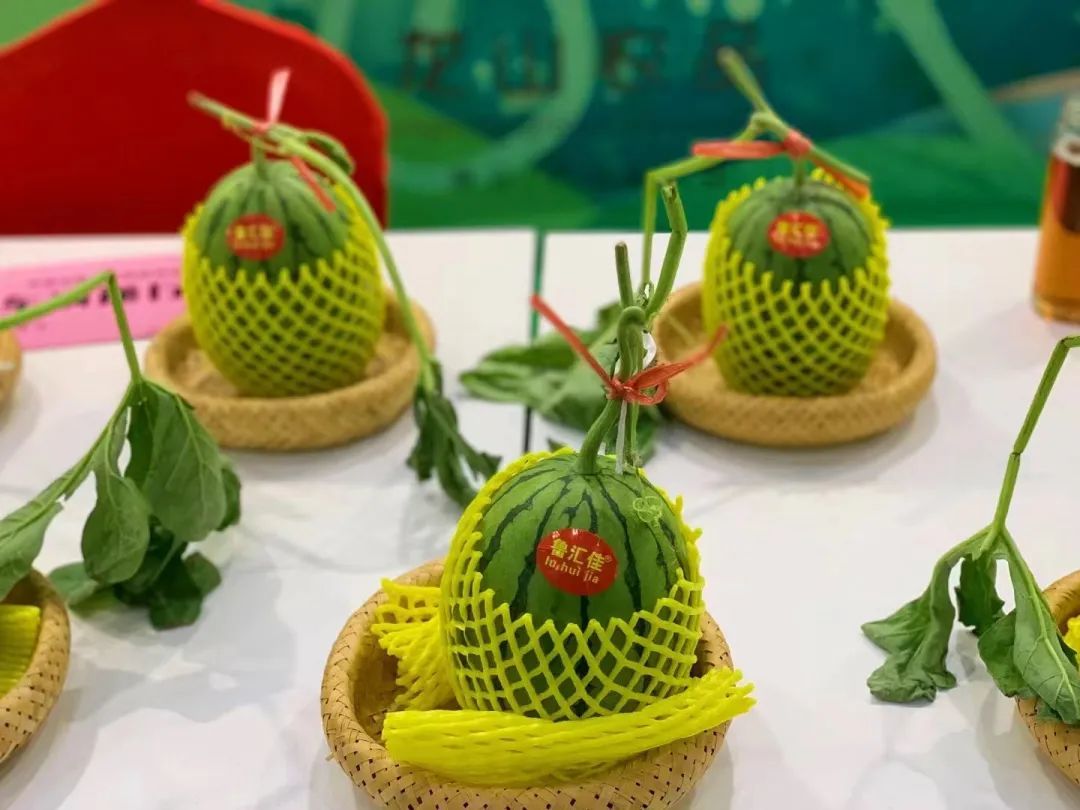 西瓜穿网兜、住空中～济南大姐黄河边建500亩“吃瓜”小镇