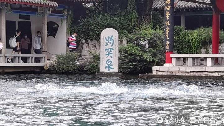 2002年以来历史同期最高！趵突泉年度最高地下水位再次刷新