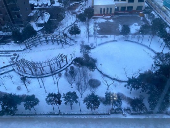 四重预警继续生效中！山东仍有降雪 低温天气持续到18日