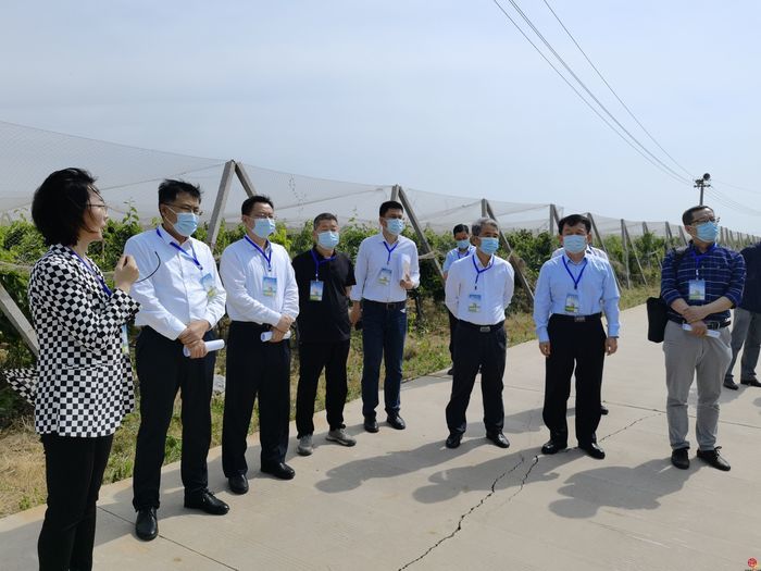 打造北方种业之都正逢其时 “商量”调研济南优势和底气