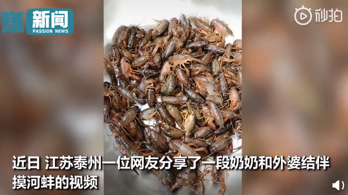 神仙友谊!92岁外婆带83岁奶奶摸河蚌 