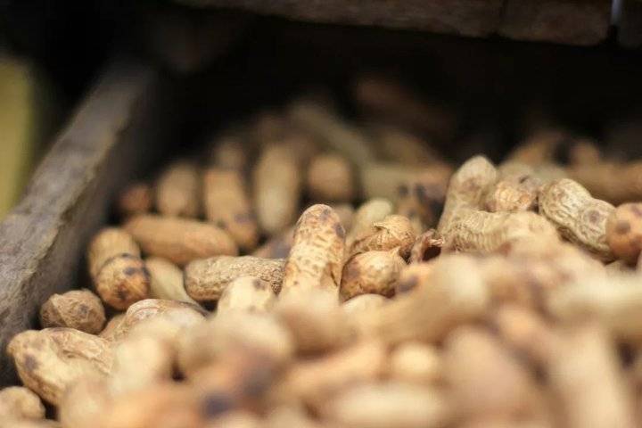 【网络述年】二十七，赶大集！济南这里的年味，怎一个浓字了得！