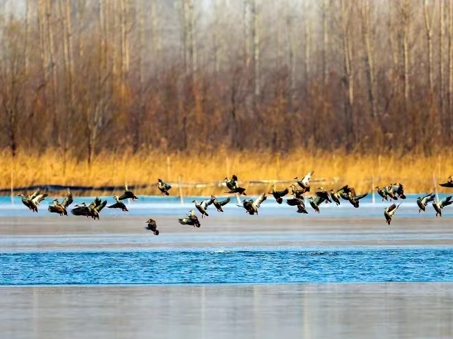 山东→灿东→汕东？请查收这份“入秋指南”！