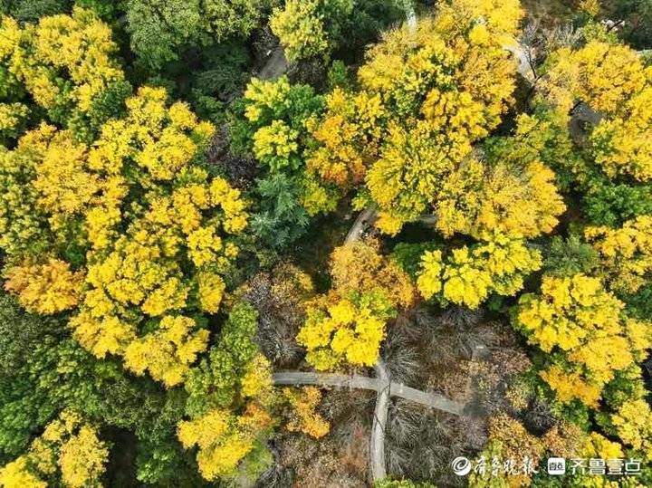 深秋时节泉城公园，色彩斑斓