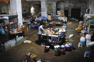 90后博士生和他的“地下猫城”