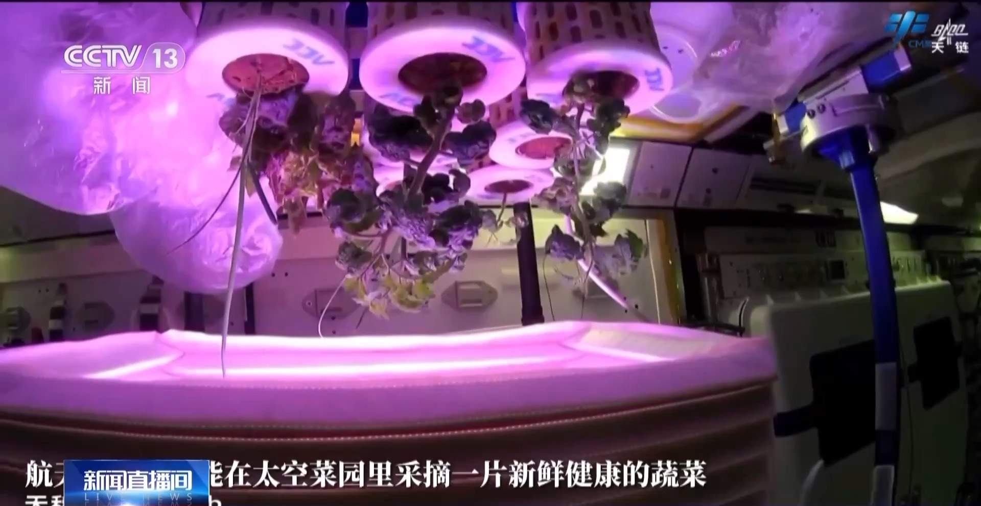 太空种菜是为了让航天员吃点新鲜蔬菜?把格局打开