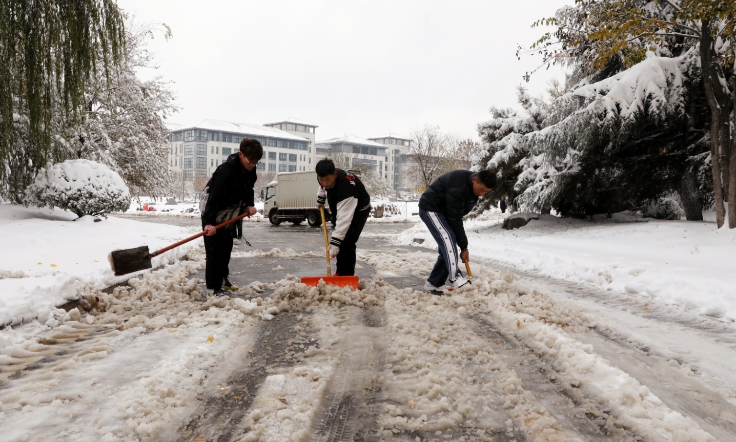 立冬迎初雪，济南护理职业学院师生全员扫雪除冰保出行