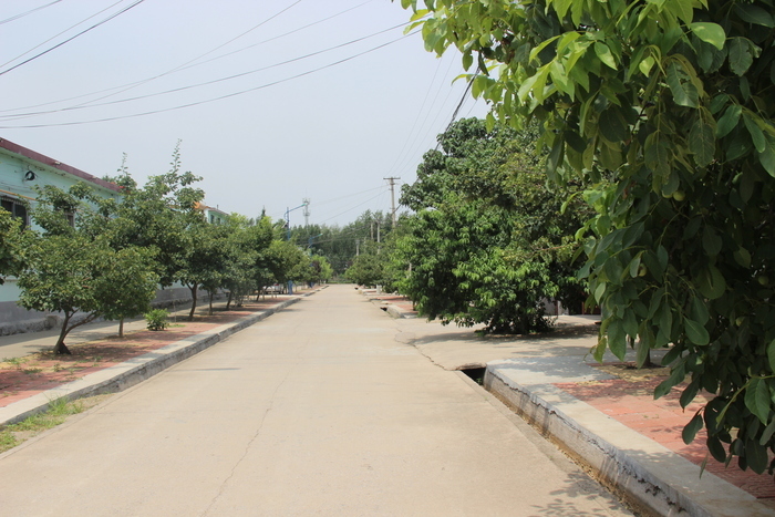 百名青年记者下基层丨加强环境整治 打造靓丽归德 