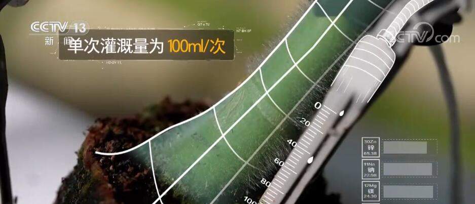 突破制约 数字技术与传统农业碰撞出“最优解”