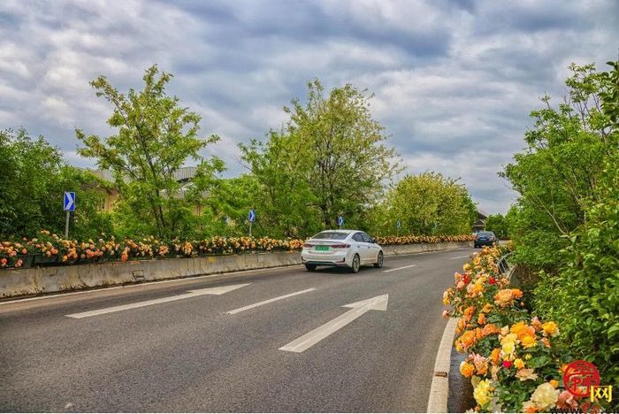 【图集】槐荫变花园 近30万盆花卉吐芬芳