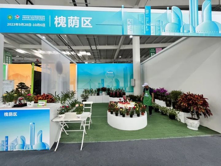 游花博，泡温泉，打卡“新商河”之“游在商河”