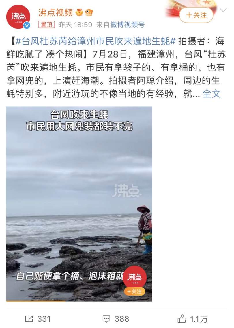 台风杜苏芮吹来的遍地生蚝，到底从何而来？能不能吃？