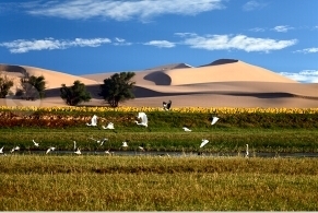 “畅游几字弯·感悟黄河魂”——全国主流媒体内蒙古行暨穿越G7大型采风活动走进乌海市