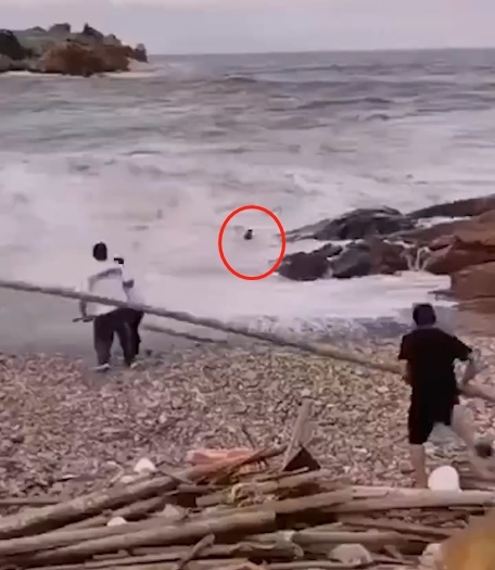 痛心！新人拍婚纱照被海浪卷走，已致2死1失联