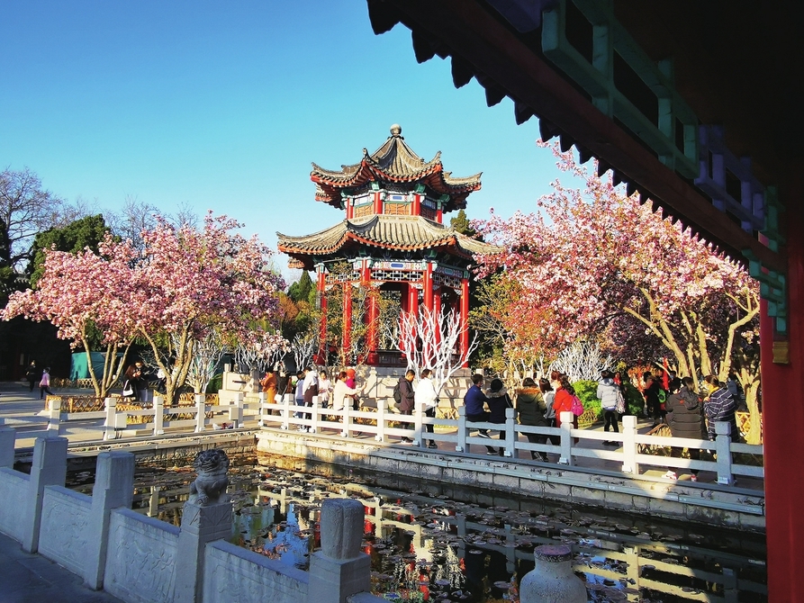 春寒料峭百花开 天朗气清好出游