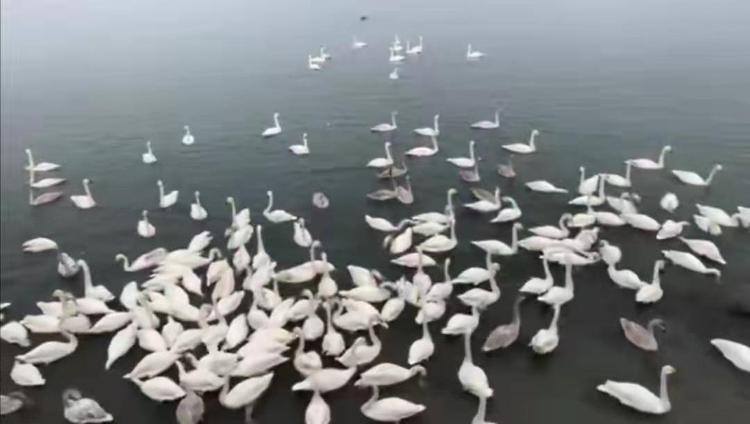 最美是山“冬”！16市5G+AI直播联动，看山东人怎么过冬至