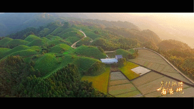 农业现代化 “黔景”无限好——乡村振兴看贵州