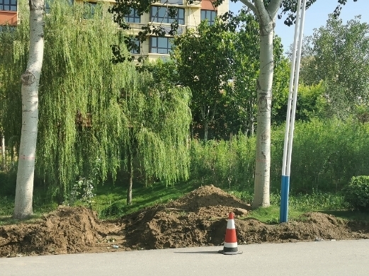 【啄木鸟在行动】商河316省道部分路段路边施工渣土裸露