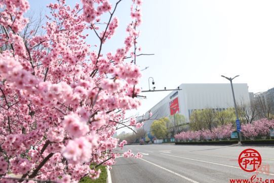 “生态兴”迈上高质量发展新台阶  擦亮生态底色守护槐荫“诗与远方”