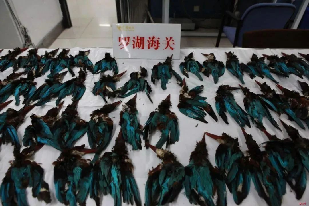 销售这种饰品，抓！