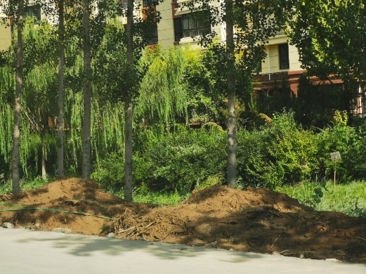 【啄木鸟在行动】商河316省道部分路段路边施工渣土裸露