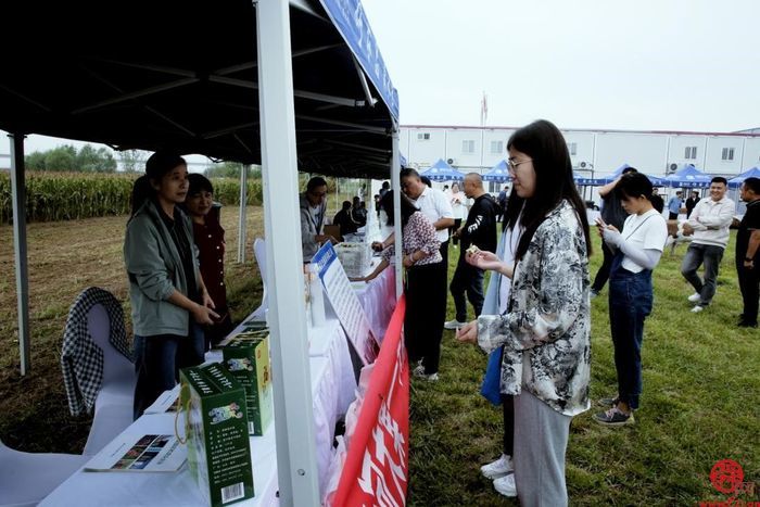 庆丰收 促和美 天桥区举行庆祝中国农民丰收节活动