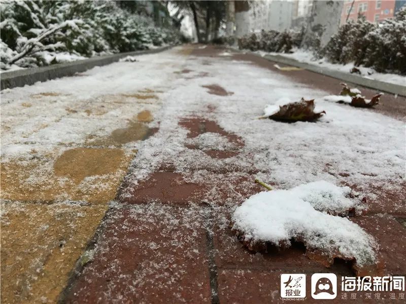 冷冷冷！山东这里下雪了！下周这些地方也要下