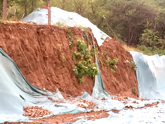 【啄木鸟在行动】经十路南侧林家庄公交站附近渣土覆盖不全