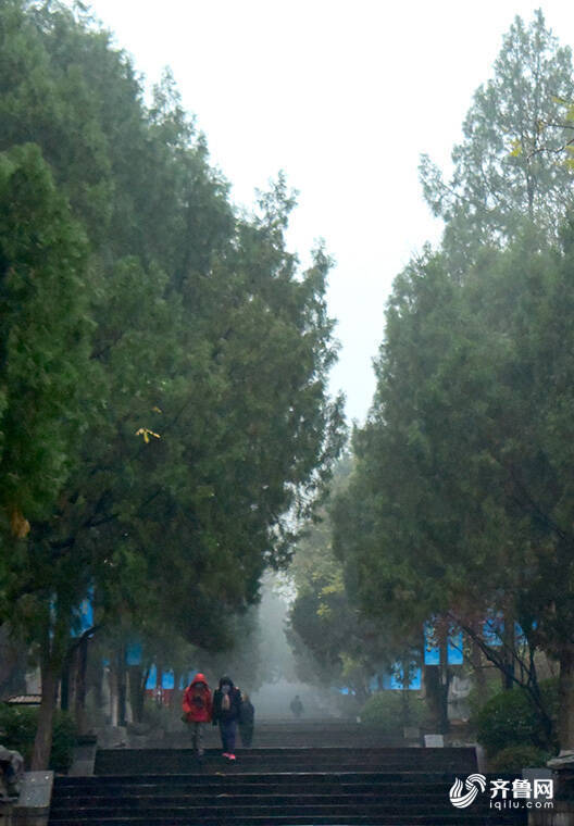 雾“锁”泉城！山东发布大雾黄色预警信号 8地出现浓雾天气