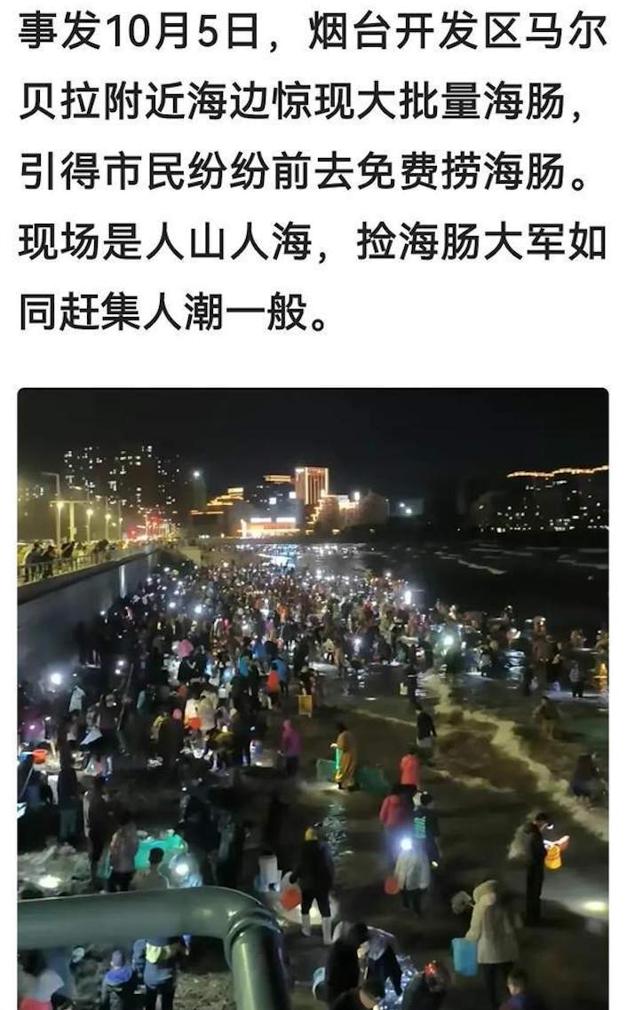 烟台海边再现大量海肠，有人捞一晚上没走 网友：大海送年货了