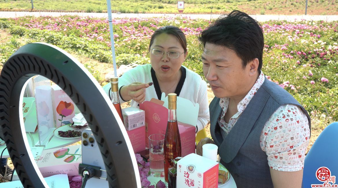 “618网购节”展现消费新浪潮，绿色低碳建材成为新的消费趋势