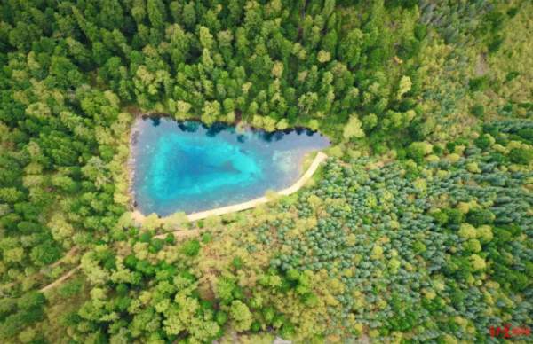 “九寨之眼”五彩池缩水成小水洼？最新回应