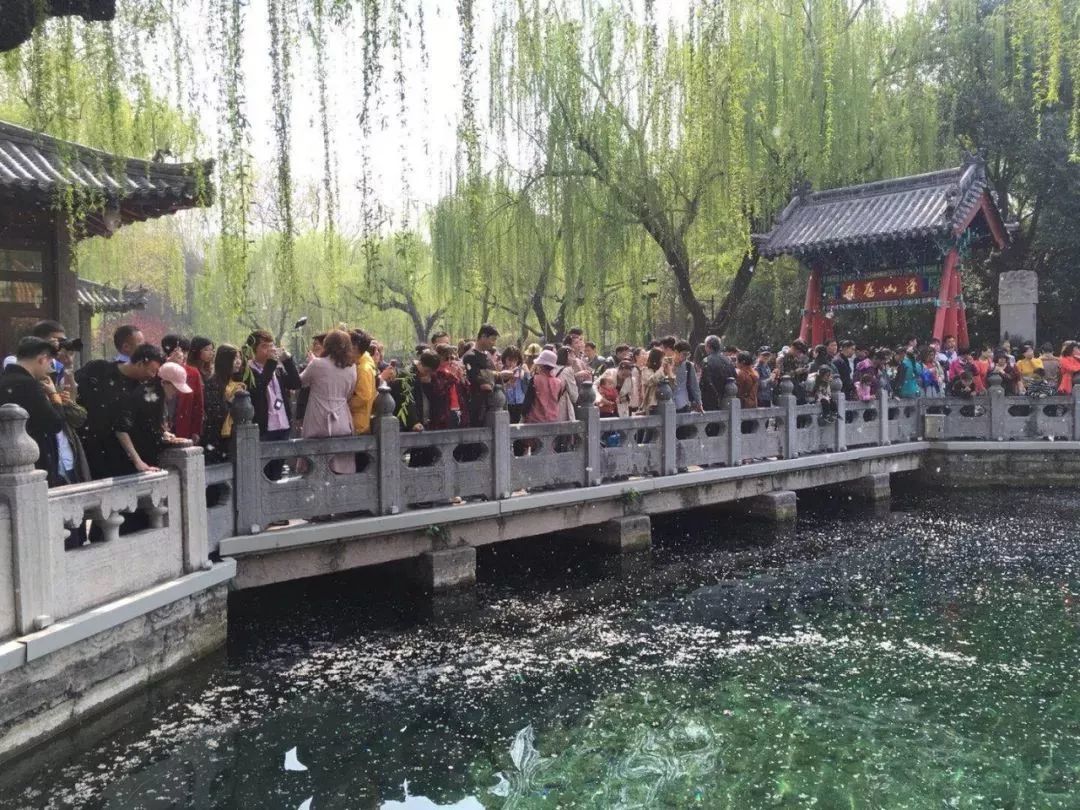 胶州湾大桥变停车场、高速堵到发红 躺在家的人偷着乐吧