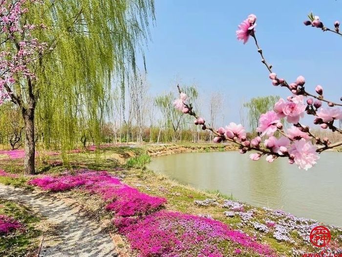 15秒短视频与《三泉溪暖》一起登上山东卫视