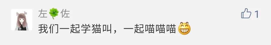 猫来助阵！“央视猫叫”上热搜是怎么回事？终于真相了，原来是这样！