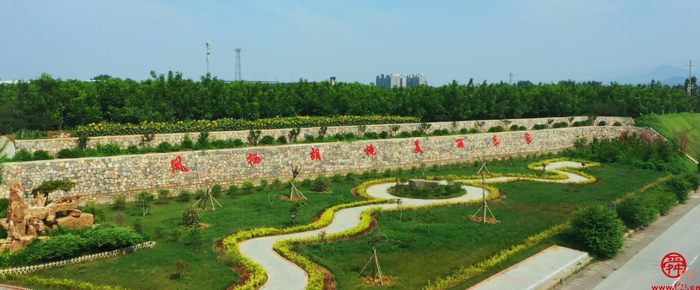 加快发展 实干争先 普集街道：紧抓重大战略机遇 奋力开创高质量发展新局面