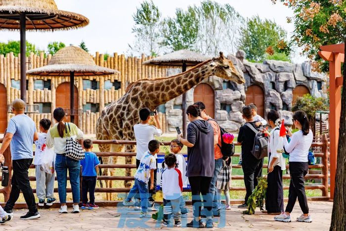 民俗活动、游泉打卡、创意集市成旅游亮点！假期次日济南22家重点景区共接待游客42.48万人次