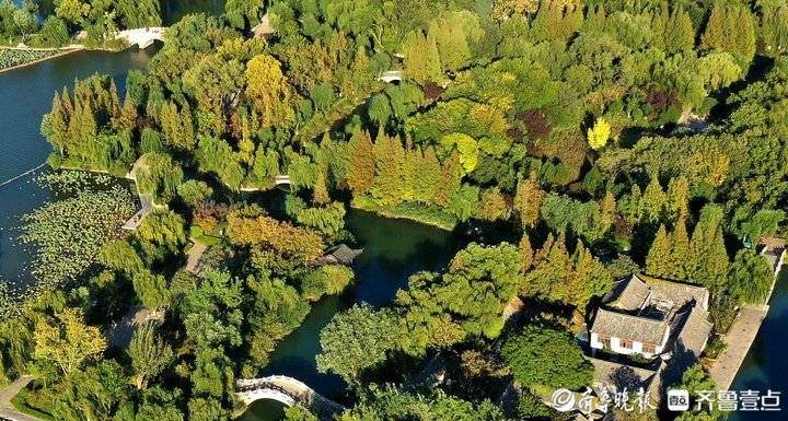 济南老城区大明湖，色彩斑斓的秋季美景如画