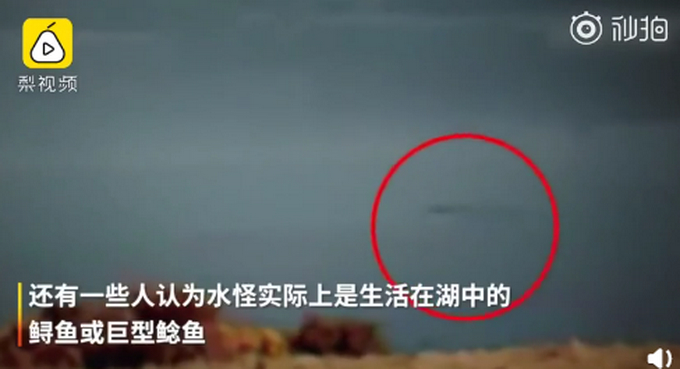 尼斯湖水怪可能真的存在？科学家采集湖底生物DNA