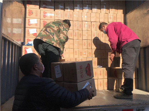 精选蔬菜线上卖