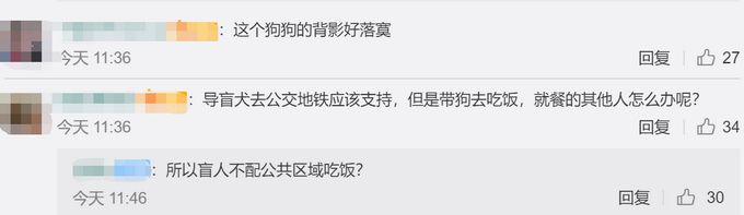 导盲犬进海底涝是怎么回事?终于真相了,原来是这样!