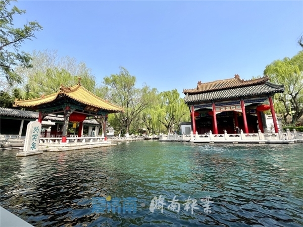 历史同期21年最高！入汛首日，趵突泉地下水位创纪录